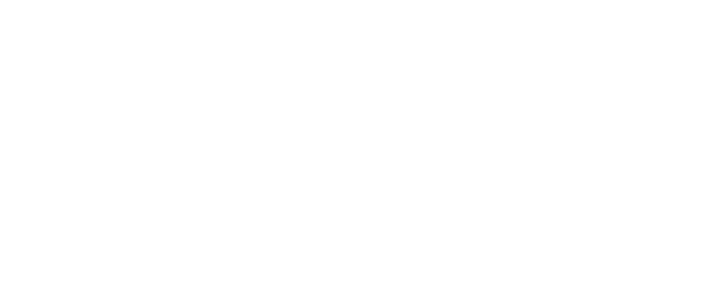 OASIS-X